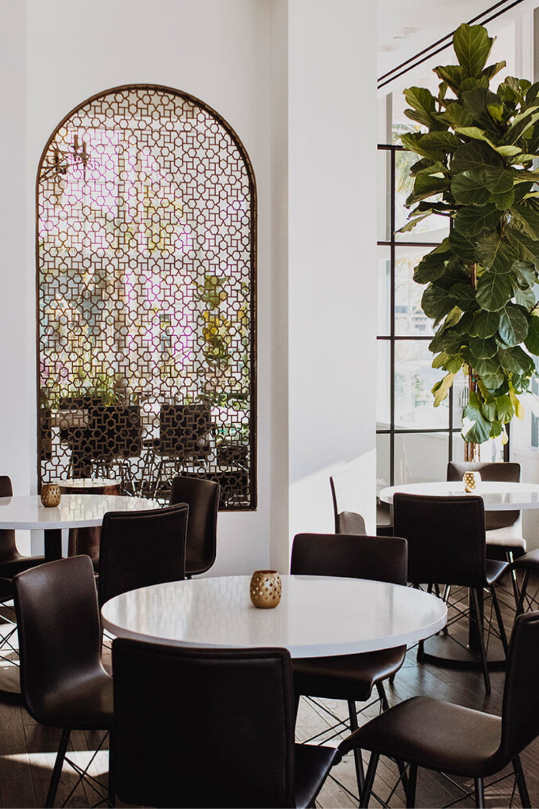 A dining area with round tables and black chairs, large window, and a plant.