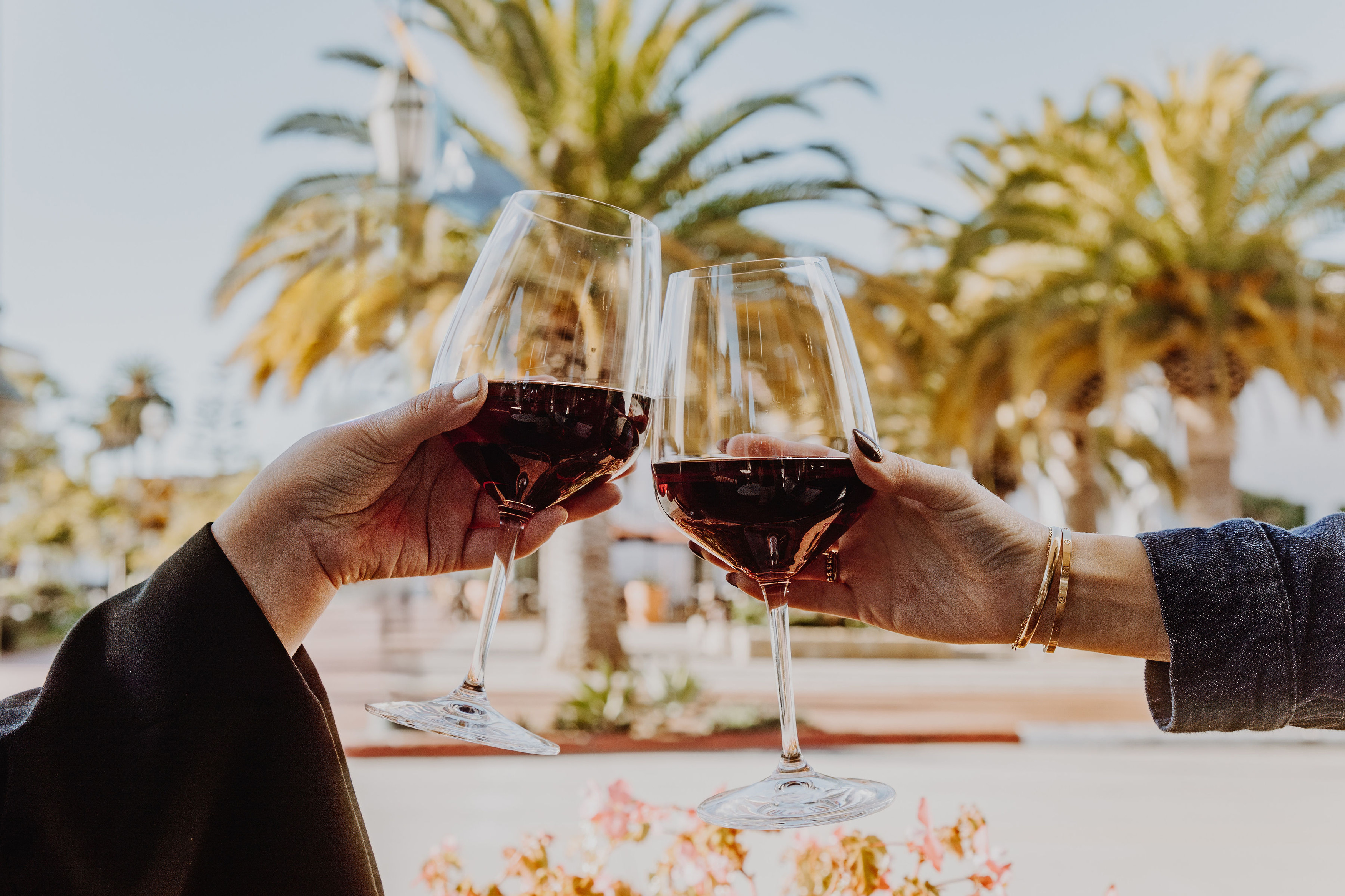 Close up of two hands clinking glasses of red wine together, outside at our hotel in Santa Barbara, California